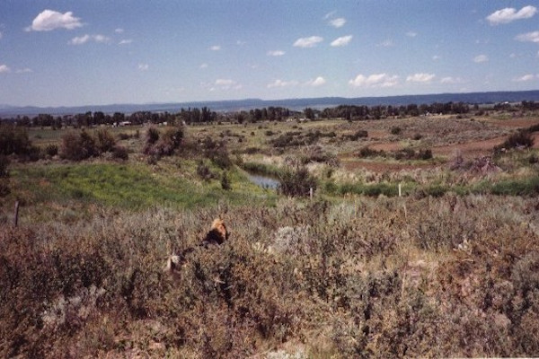 Northern View