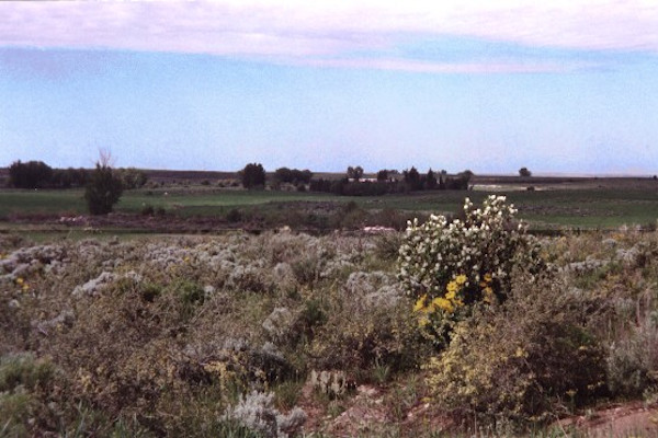 Southern View